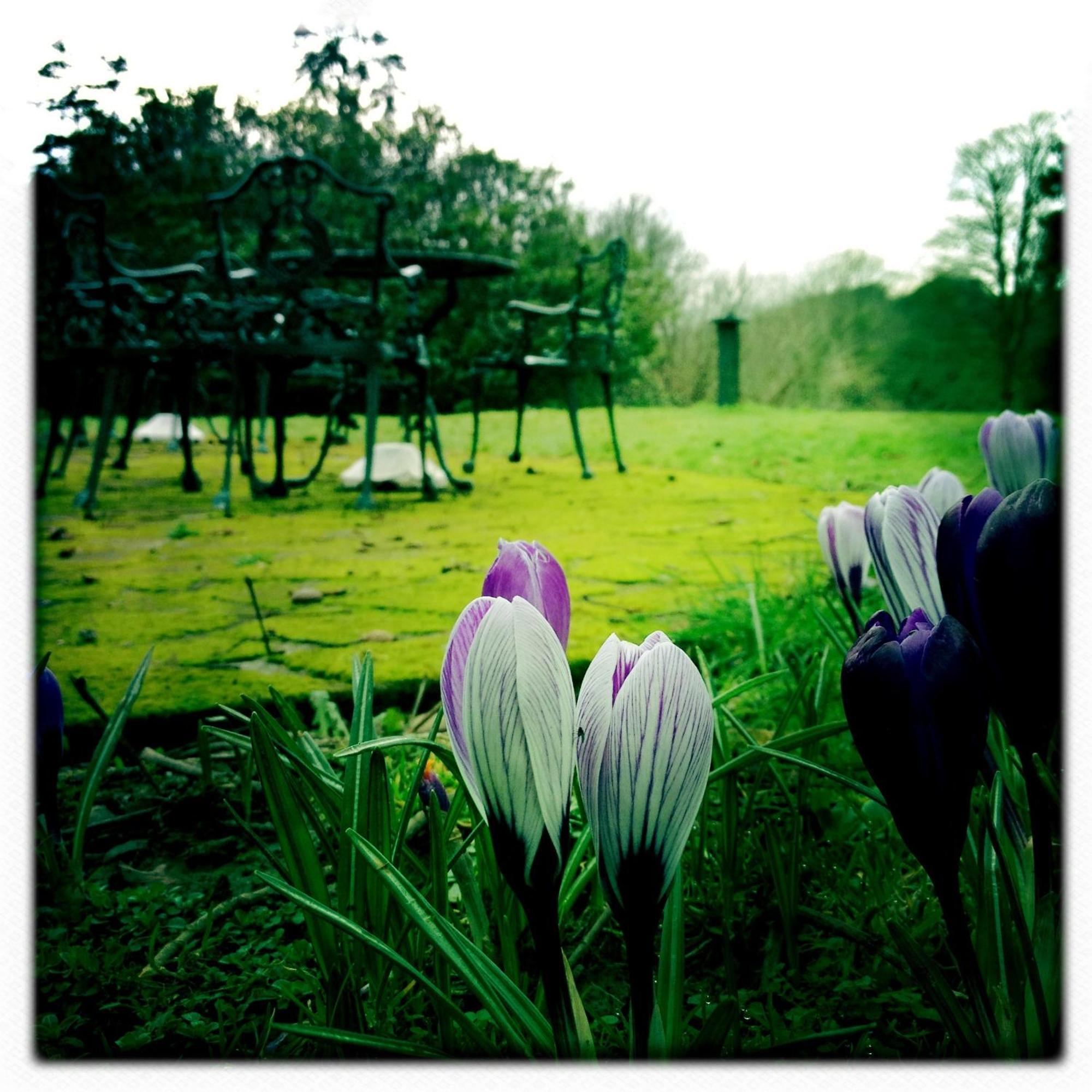 The Lake Country House Hotel & Spa Llangammarch Wells Extérieur photo